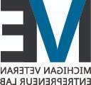 Blue V on top of a graphically designed M and E, the MVE-lab logo